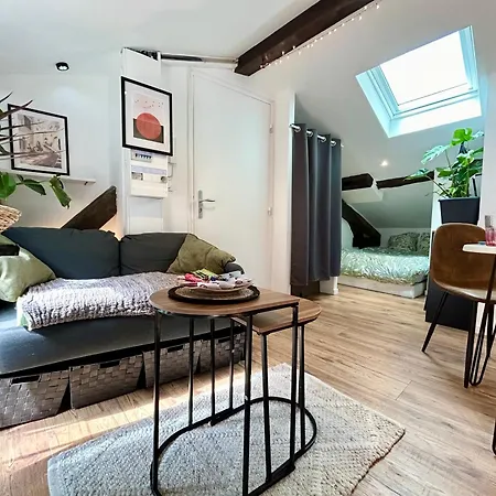 Loft Hortensia Hyper Centre Castres Castres  Exterior photo
