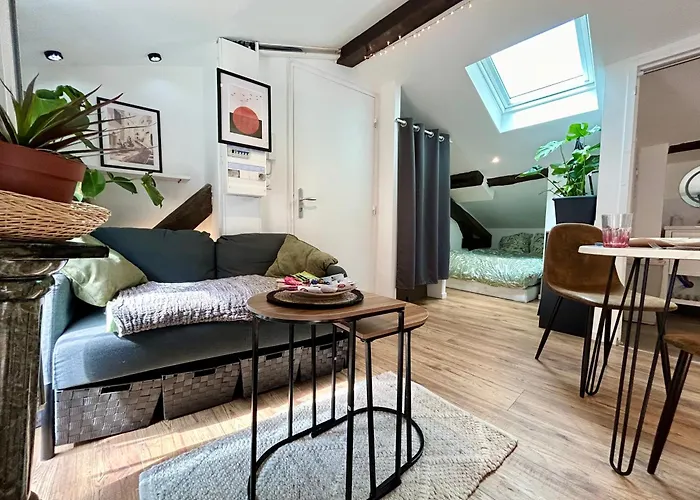Loft Hortensia Hyper Centre Castres
