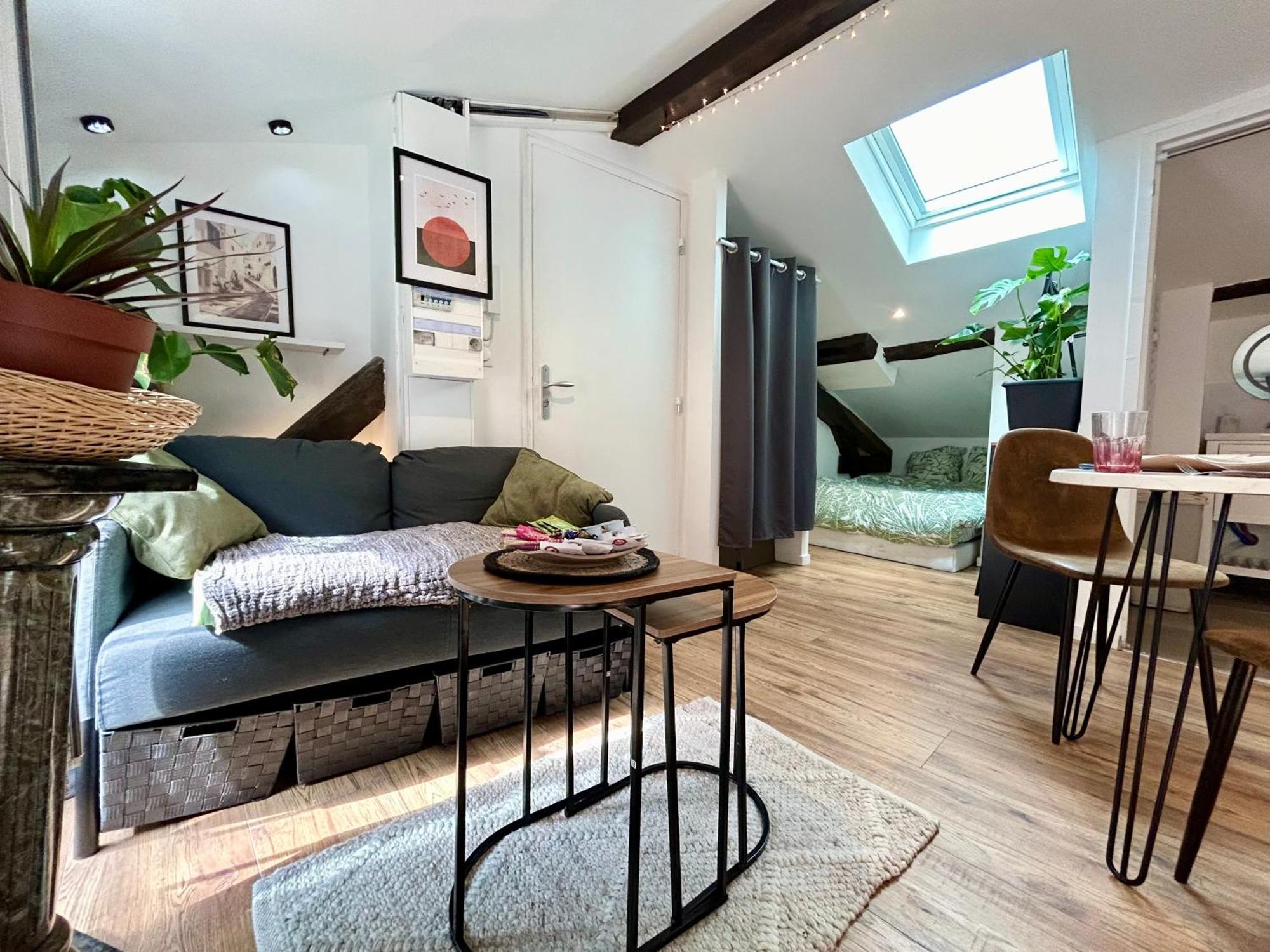 Loft Hortensia Hyper Centre Castres Apartment Castres (Tarn)