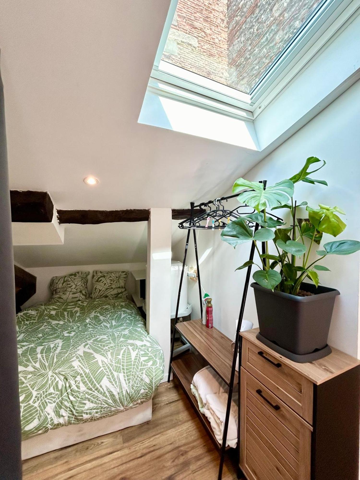 Loft Hortensia Hyper Centre Castres Castres (Tarn)
