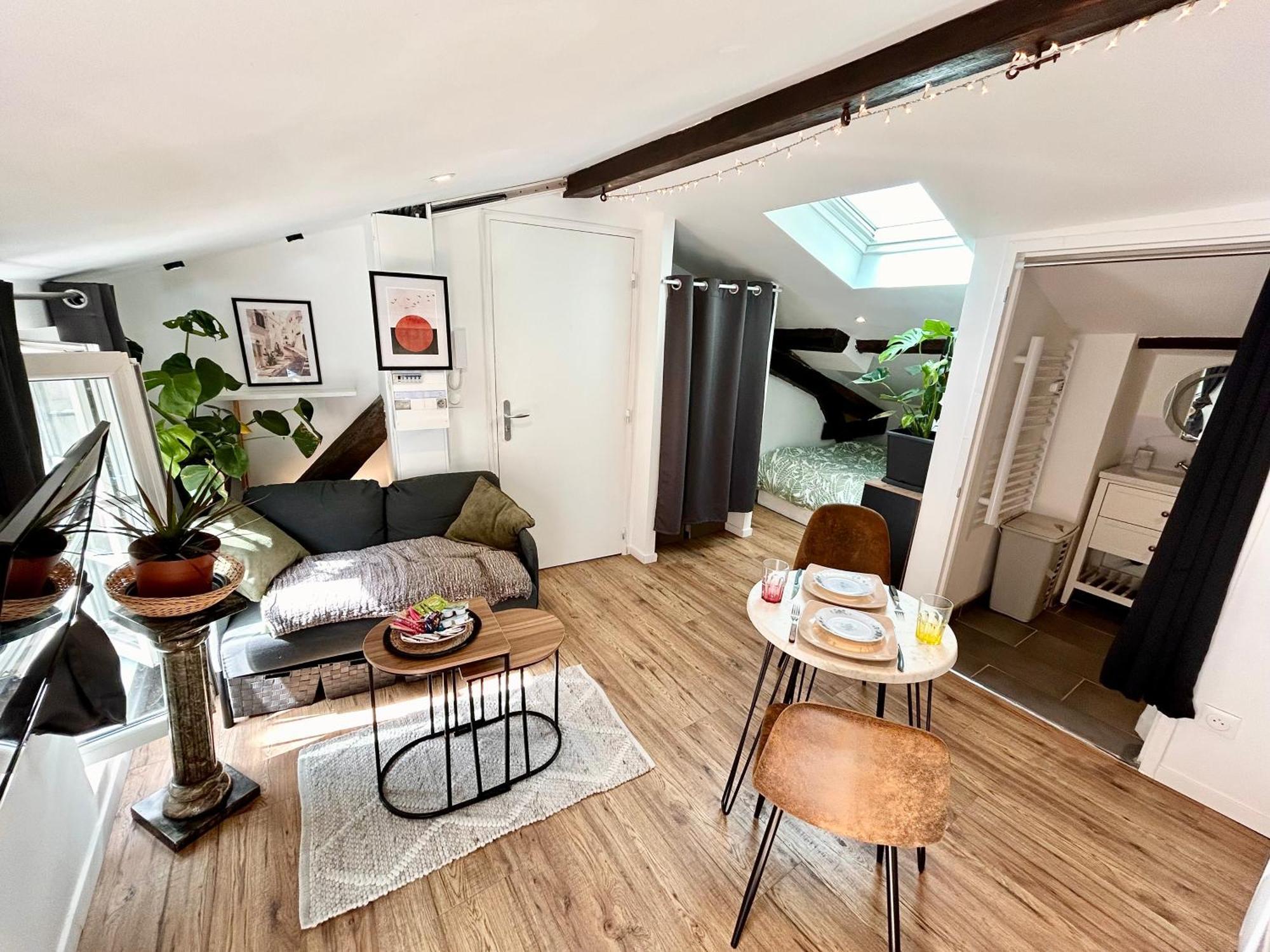 Loft Hortensia Hyper Centre Castres Apartment *